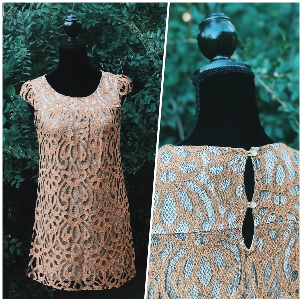 👗Gold Lace Cap Sleeves Petite Straight Dress